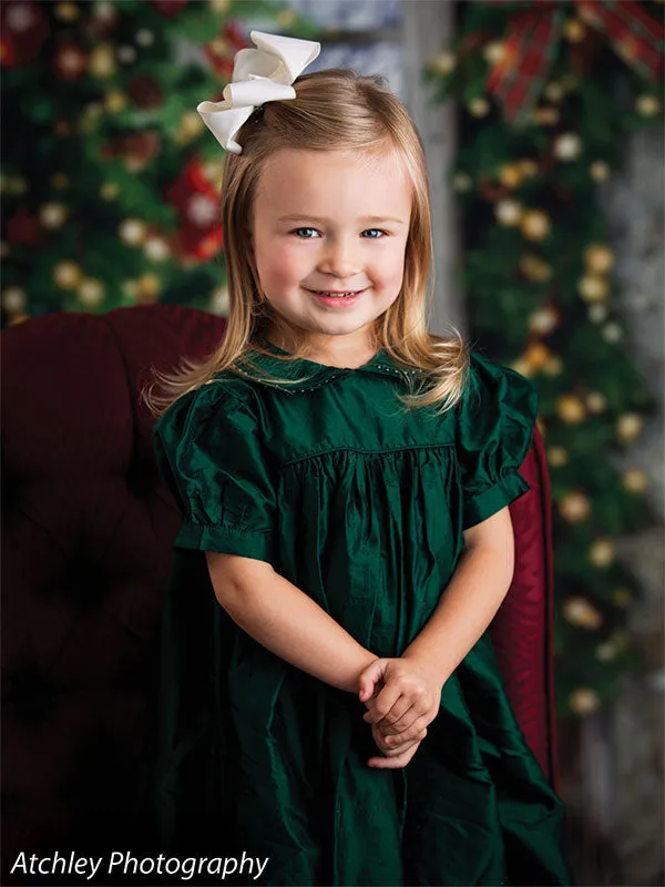 Christmas Lodge Printed Photo Backdrop