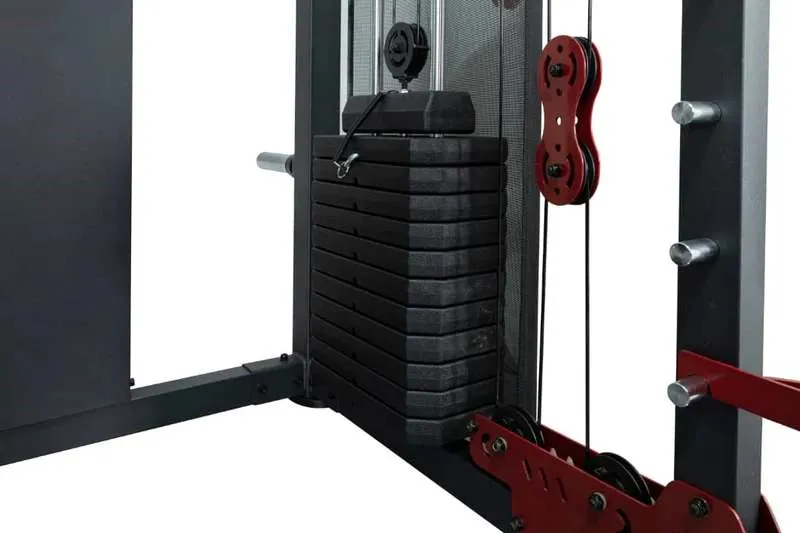 Entercise Gym Functional Trainer Machine [WS]