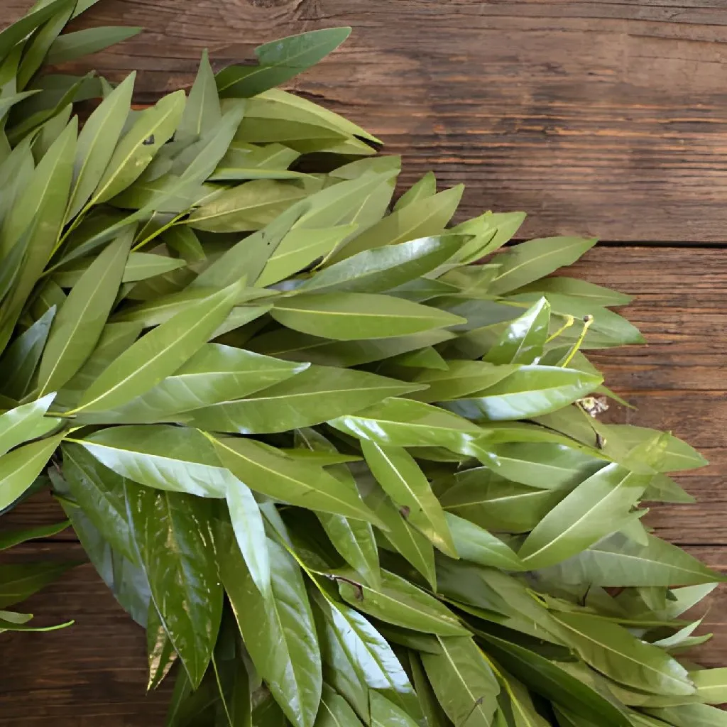 Fresh Bay Leaf Wreaths