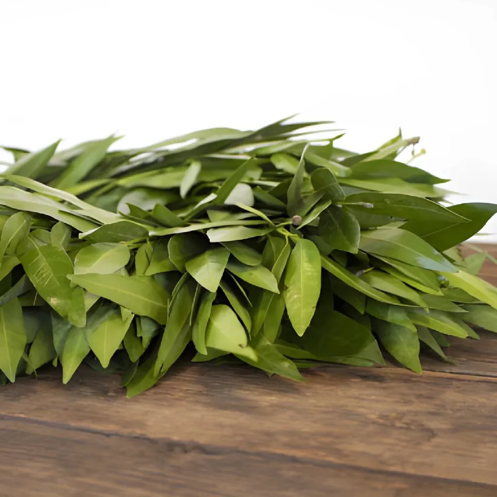 Fresh Bay Leaf Wreaths