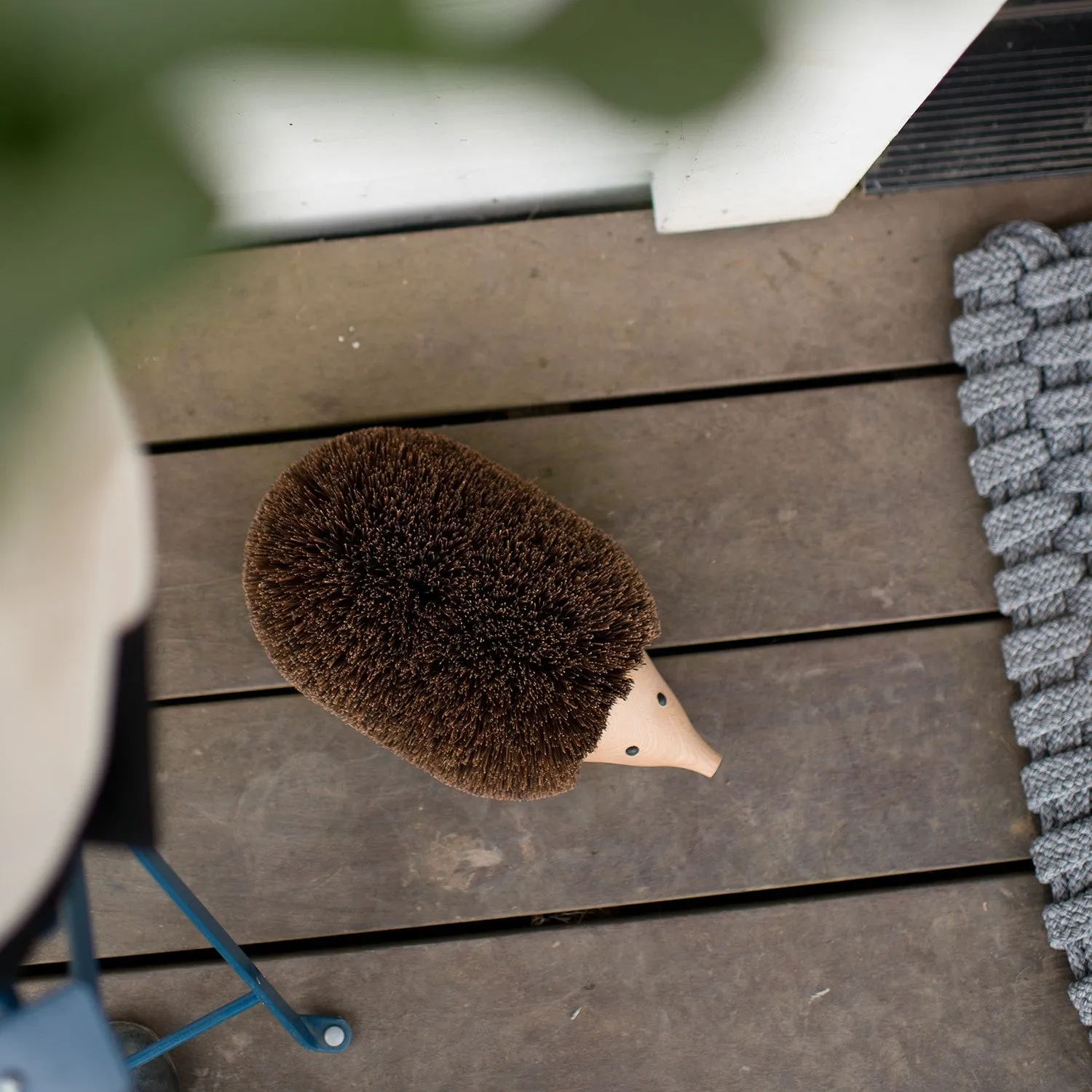 Hedgehog Shoe Brush