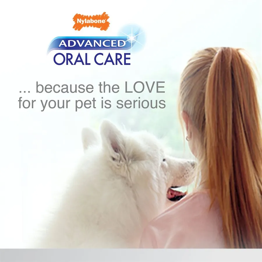 Nylabone Advanced Oral Care Natural Dog Dental Kit