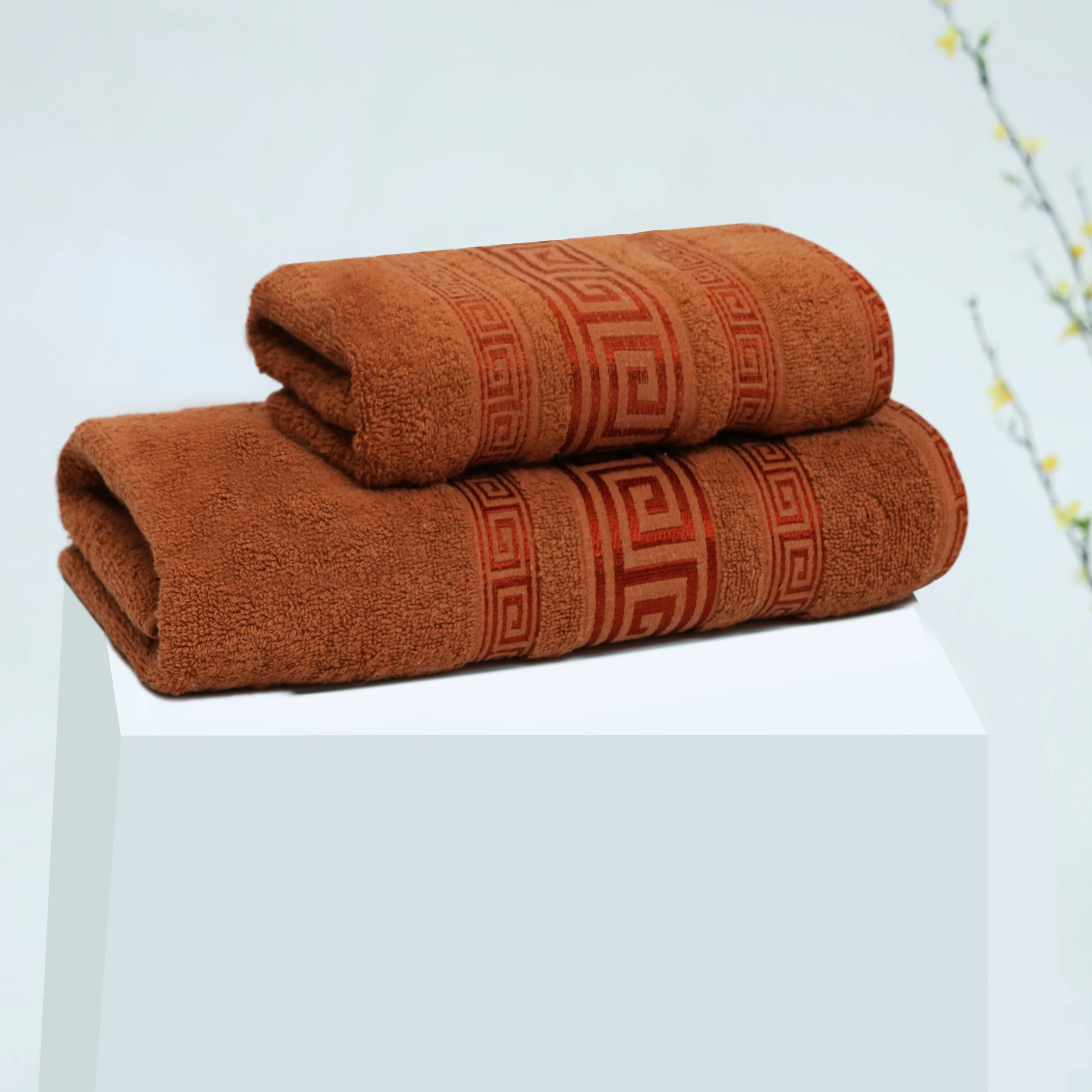 Premium Quality Soft Cotton Towel(Pack of 2)