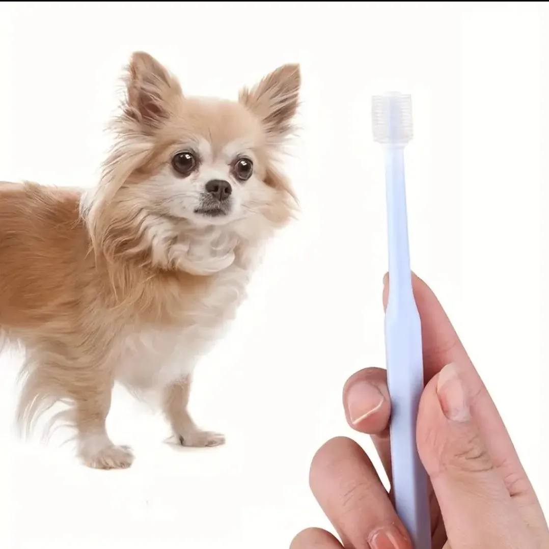 Small round head toothbrush