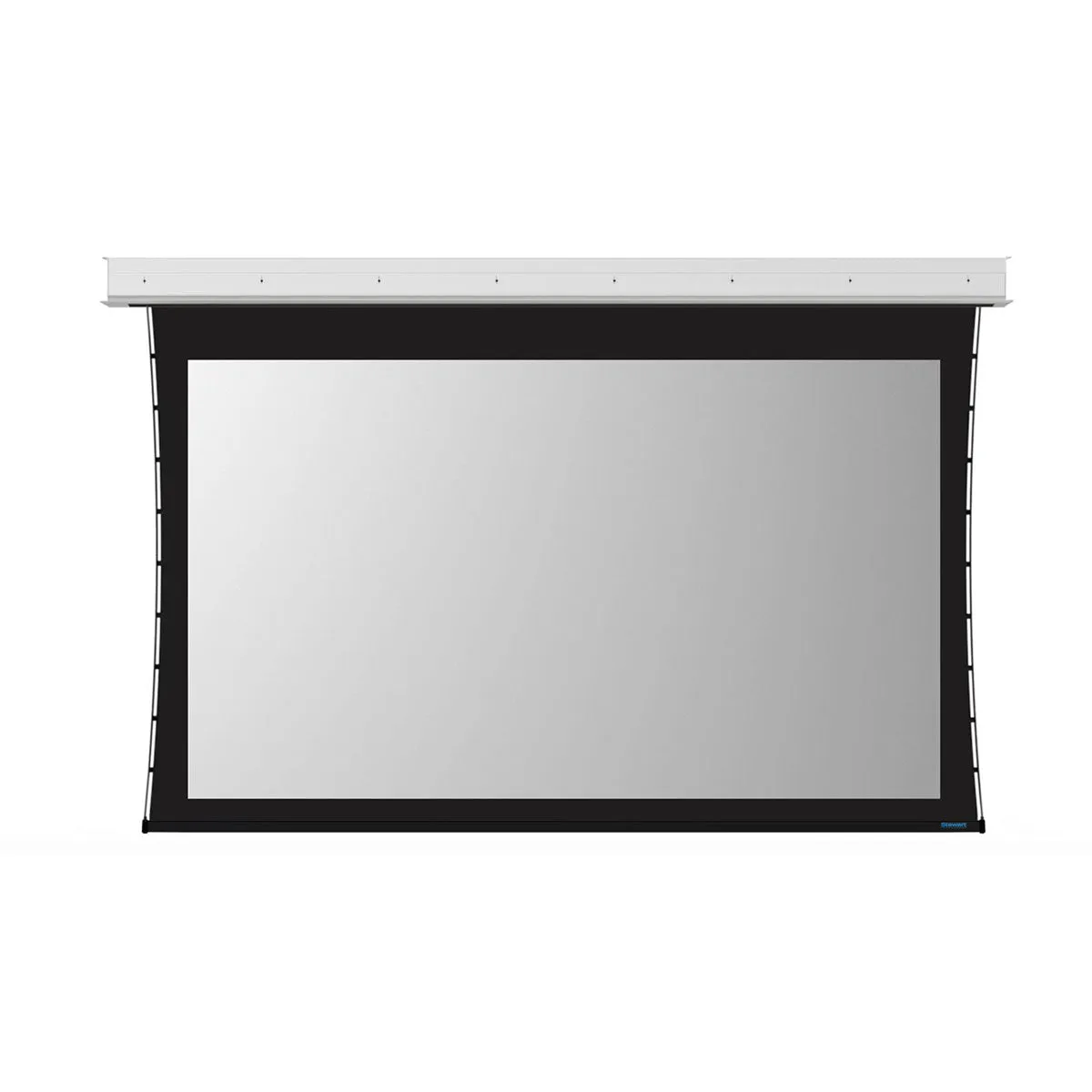 Stewart Filmscreen Custom Projector Screen 571558.001