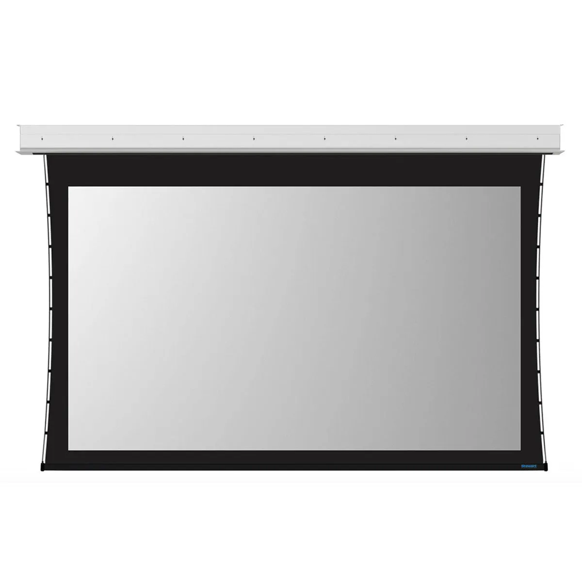 Stewart Filmscreen Custom Projector Screen 571558.001