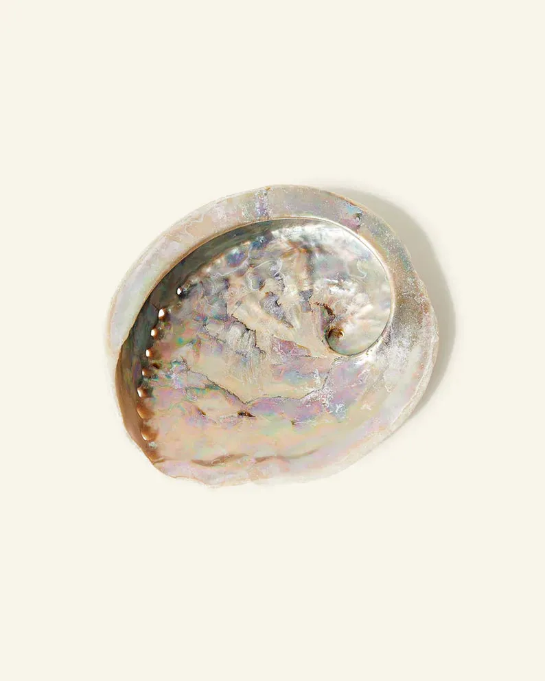 Sustainable Abalone Shell