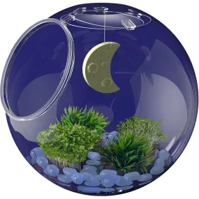 Wow in the World: Light-Up Terrarium